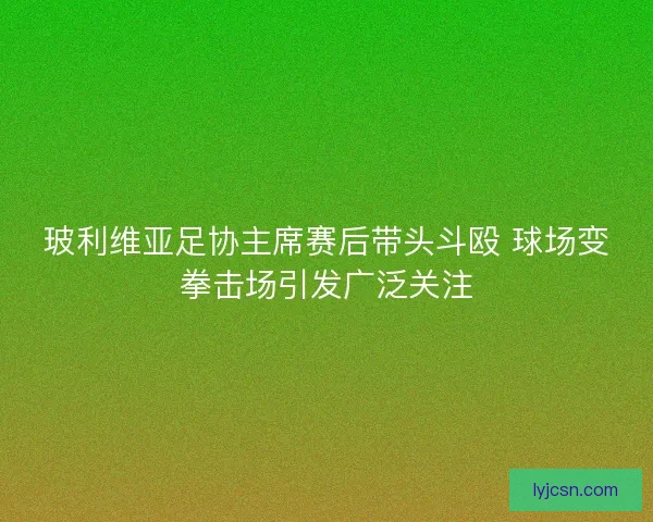 玻利维亚足协主席赛后带头斗殴 球场变拳击场引发广泛关注